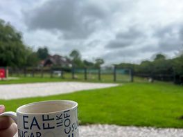 A brew whilst watching the sheep