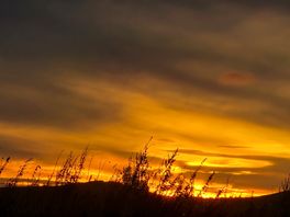 Sky on 🔥