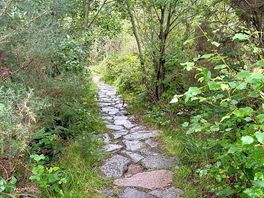Path to beddgelert