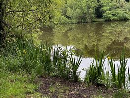 Small lake