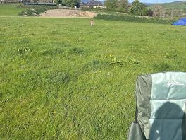 Would have been nicer if grass was cut