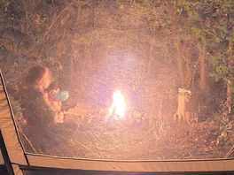 Campfire