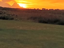 Sunset over reedham