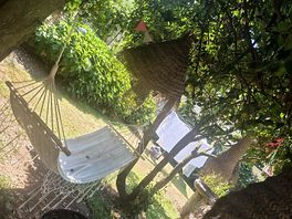 Hammocks avaliable to use.