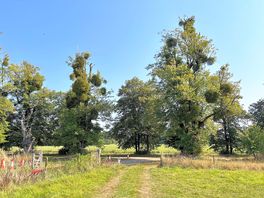 The entrance to the tedding field