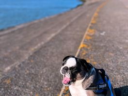 Promenade
