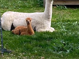 Would love to know what you named her in the end. plz let us know x