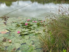 Fishing lake