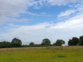 View across the meadow.