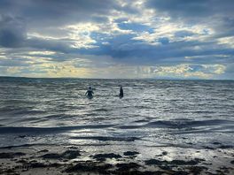 Wild swimming