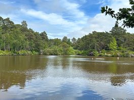 Lake view