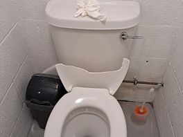 Broken toilet seats