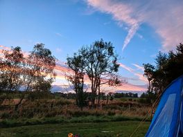 Evening view