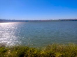 En el lago