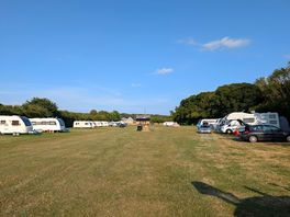 Field in daylight