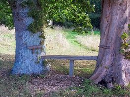 A tree seat