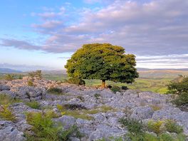 Newbiggin craggs