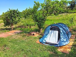 Camping among the olive trees