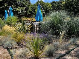 Communal garden