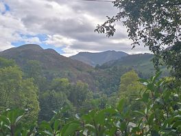Views from site