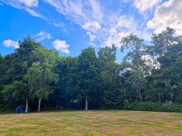 My lil tent under the trees