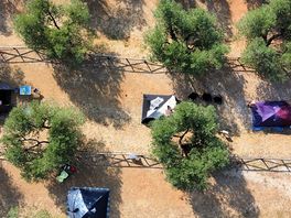 Dronebeelden