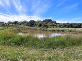 Pond on site