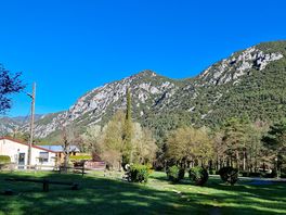Morning view across the site