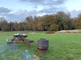 Forest and a fire