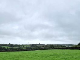 Across the field