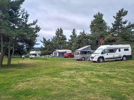 Tree-sheltered grass pitches