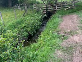 Lovely little stream