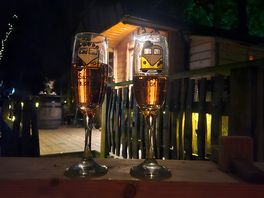 Tree house