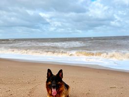 Enjoying the quiet beach