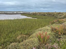 Coastal walk views