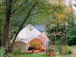 Tents among the trees