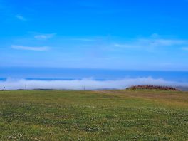 Sea mists rolling in.