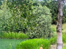 Small pond in the drive