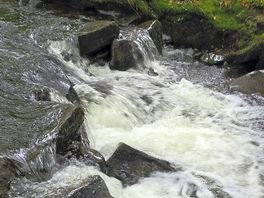 The river