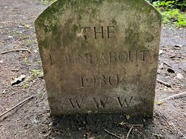Found in the woods