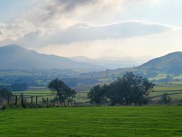 View from our campervan