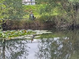 Lilly pad fishing