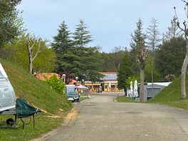 The site
