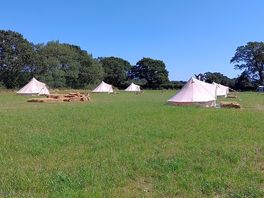 Glamping field