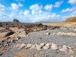 Dog friendly beach at black rock