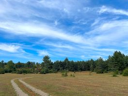 Fields and woodland