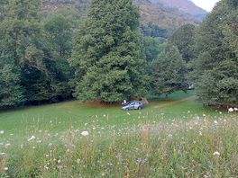 The campsite