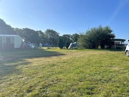 The site.
