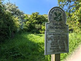 Just minutes walk away from the site
