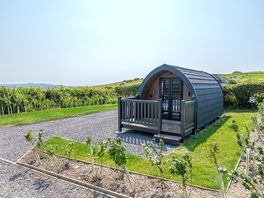 Bronze Glamping Pods